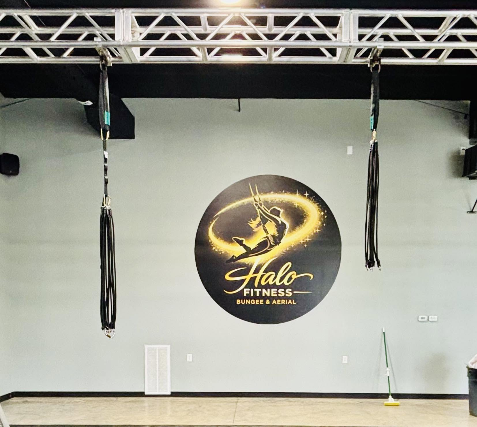 Halo Fitness Bungee studio wall with logo and bungee rigs